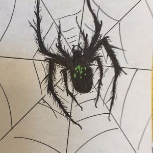 Meet your Posher, Steve